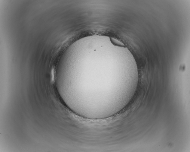 X0000090760042200708101757