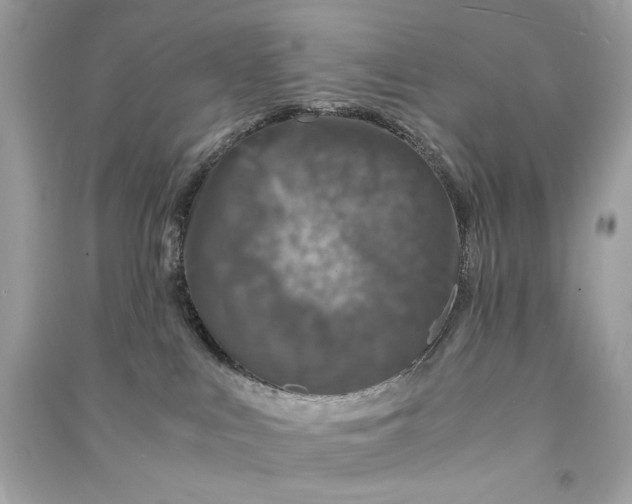 X0000090760043200708101757