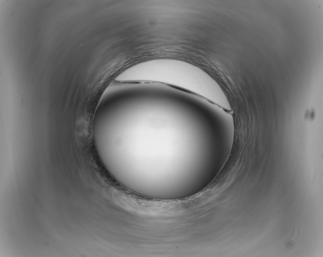 X0000090760044200708101757