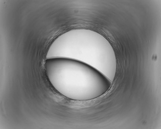 X0000090760045200708101757