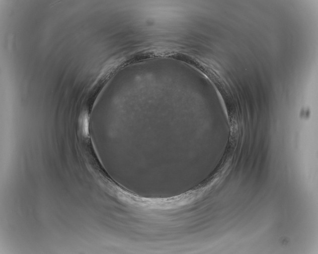 X0000090760046200708101757