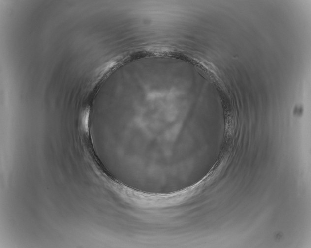 X0000090760047200708101757