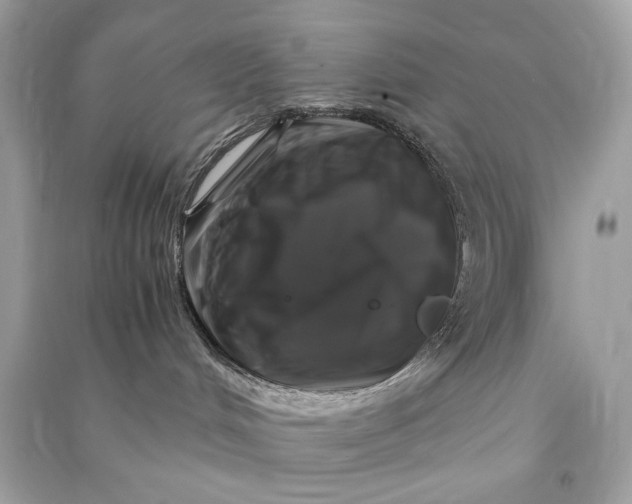 X0000090760048200708101757