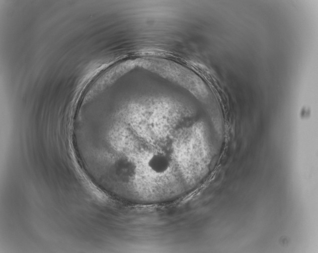 X0000090760049200708101756