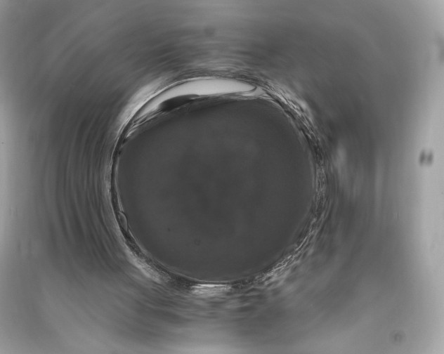 X0000090760051200708101756