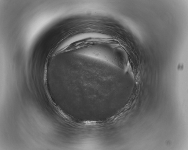 X0000090760052200708101756