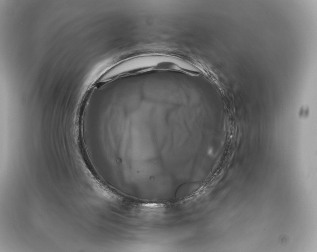 X0000090760053200708101756