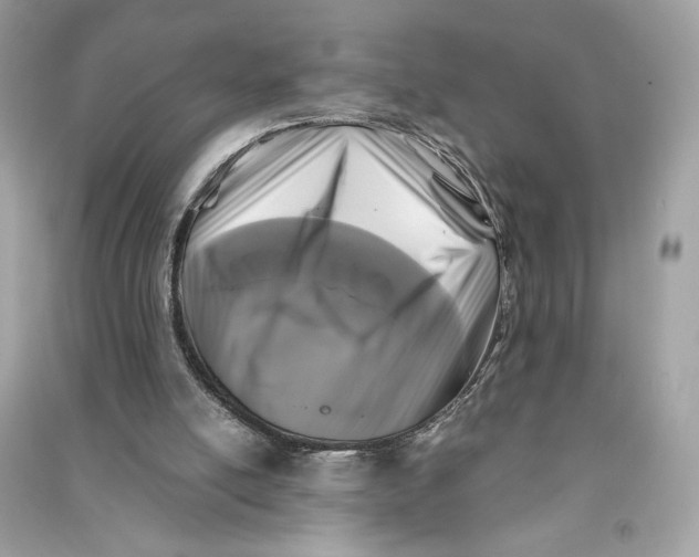 X0000090760054200708101756