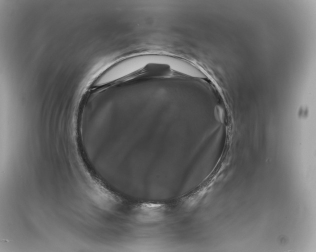 X0000090760055200708101756