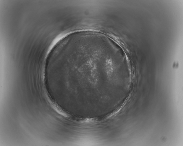 X0000090760056200708101756