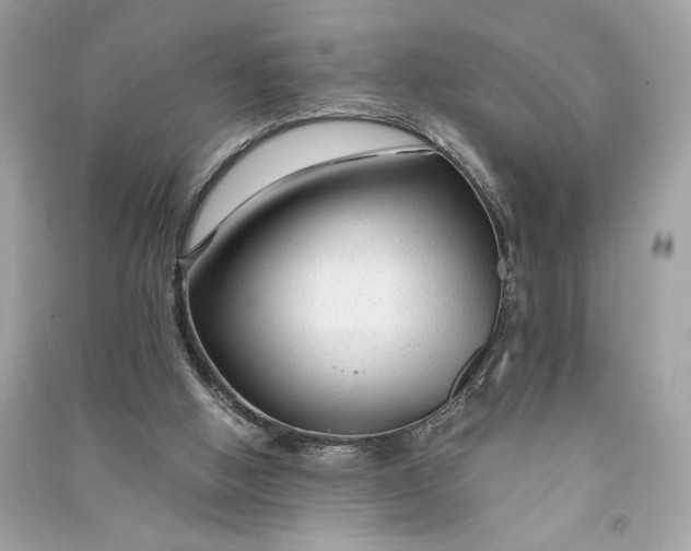 X0000090760058200708101757