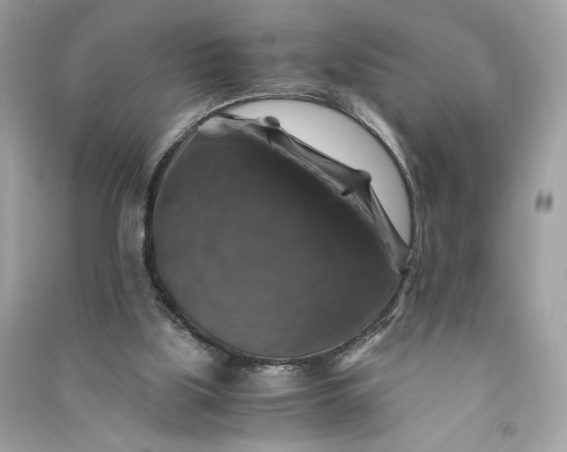 X0000090760059200708101757