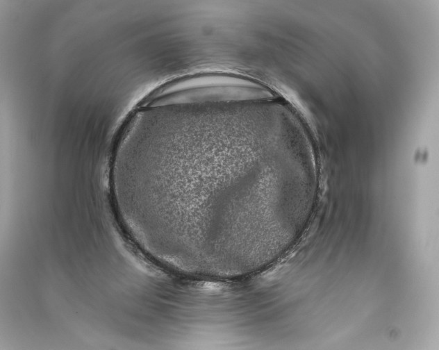 X0000090760060200708101757