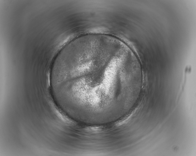 X0000090760061200708101757