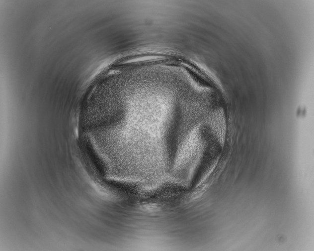 X0000090760062200708101757