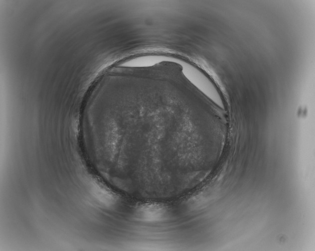 X0000090760063200708101757