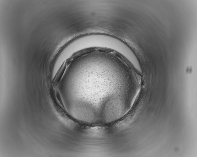 X0000090760064200708101757