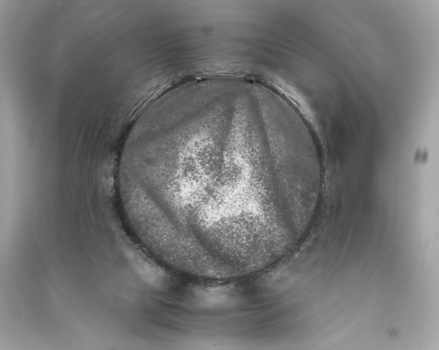 X0000090760065200708101757