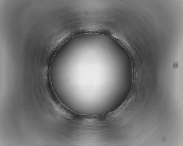 X0000090760066200708101757