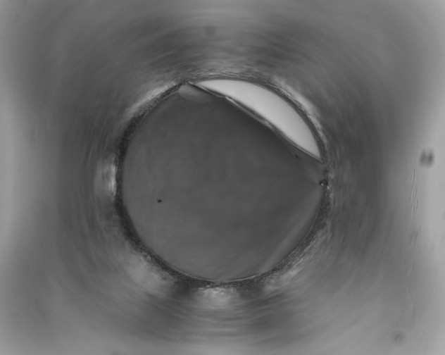 X0000090760067200708101757