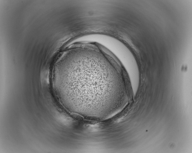 X0000090760068200708101757