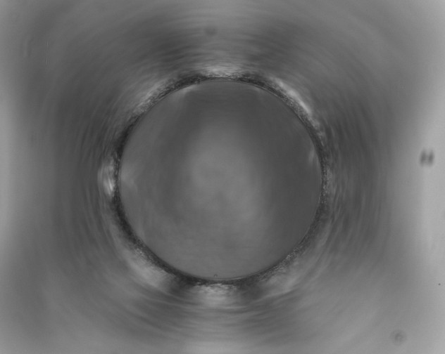 X0000090760069200708101757