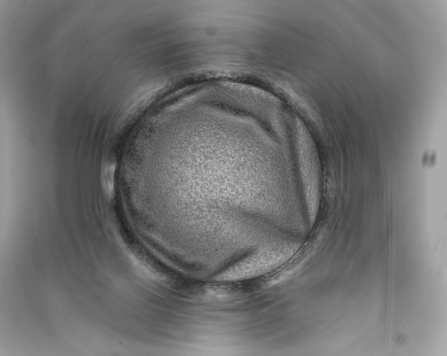 X0000090760070200708101757