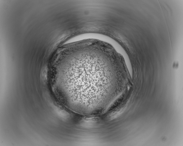 X0000090760072200708101757