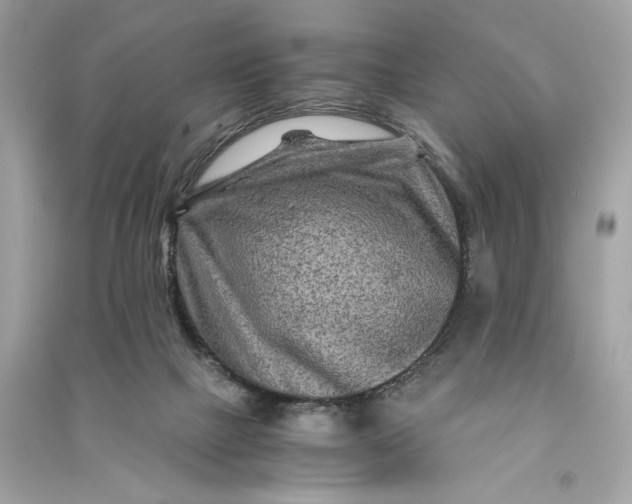 X0000090760073200708101757