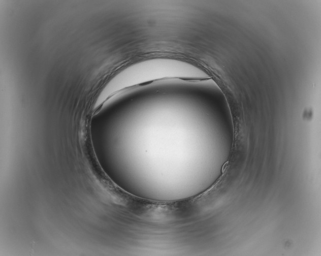 X0000090760074200708101757