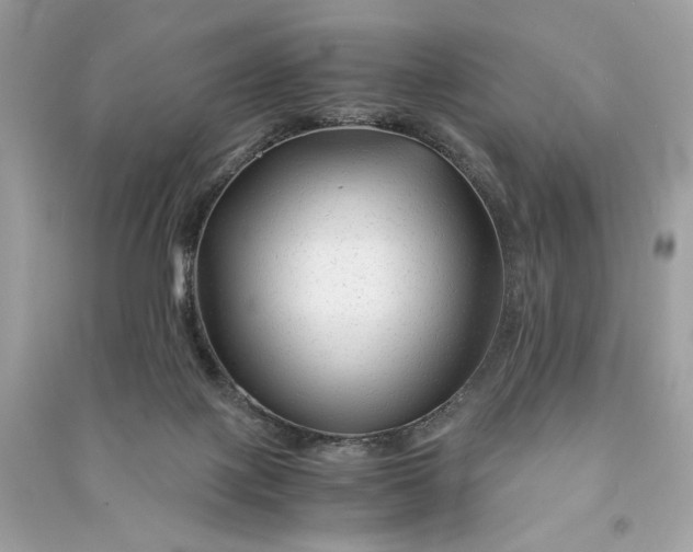 X0000090760075200708101757