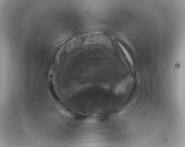 X0000090760076200708101757