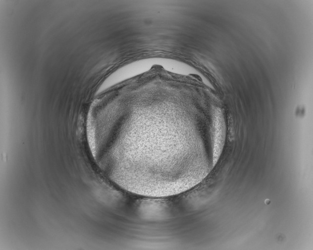 X0000090760077200708101757