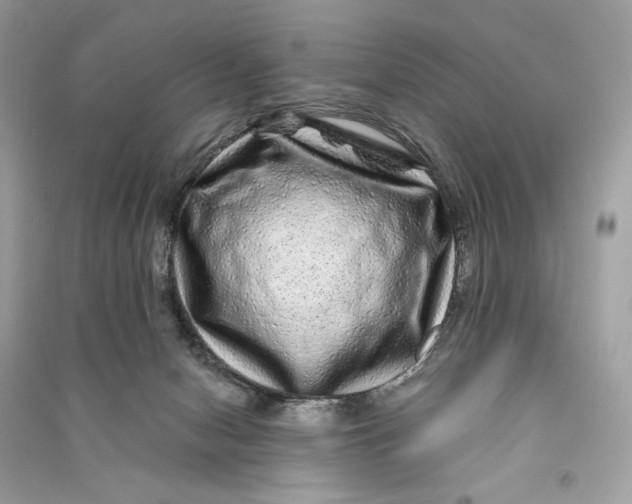 X0000090760078200708101757