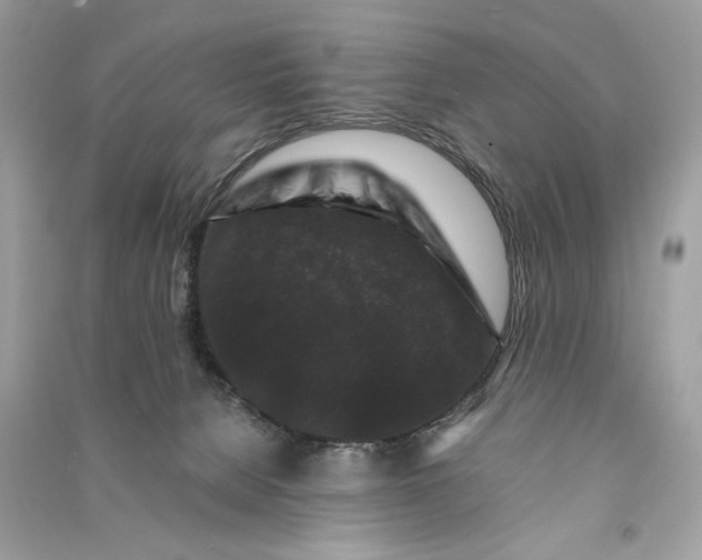 X0000090760080200708101757