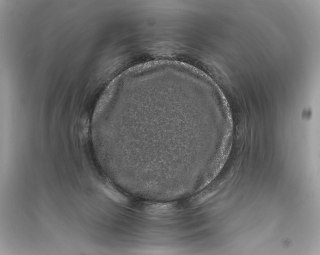 X0000090760081200708101757