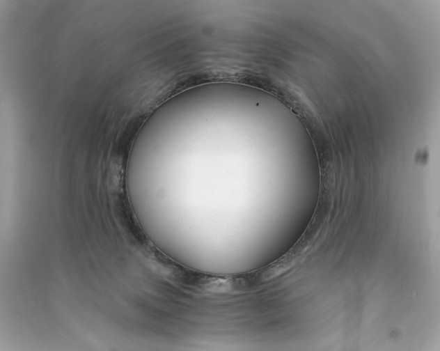 X0000090760083200708101757