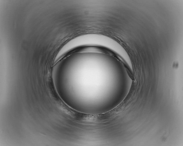 X0000090760084200708101757