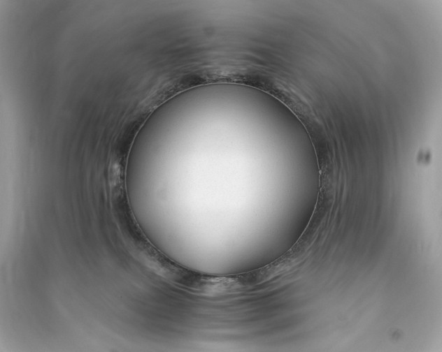 X0000090760087200708101757