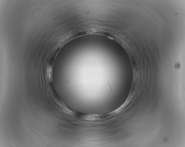 X0000090760094200708101757