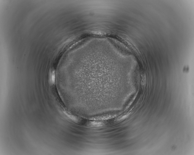 X0000090760095200708101757