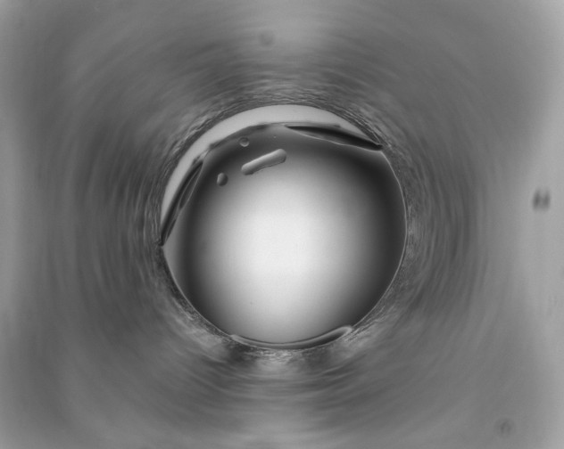 X0000090760096200708101757