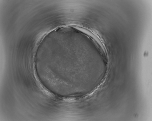 X0000090760097200708101756