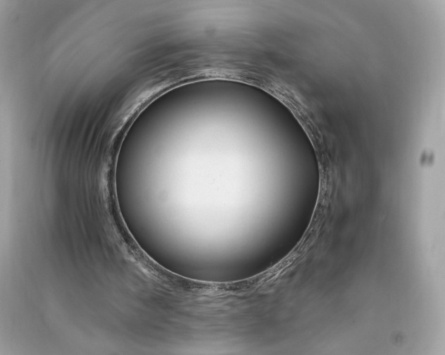 X0000090760098200708101756