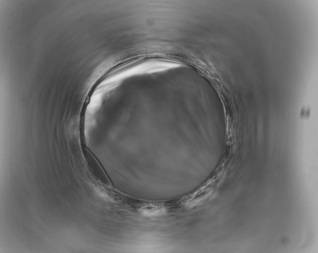 X0000090760099200708101756