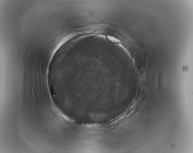 X0000090760100200708101756