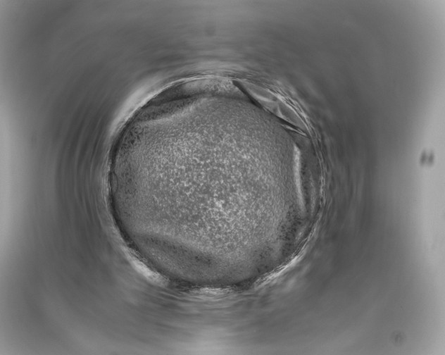 X0000090760101200708101756