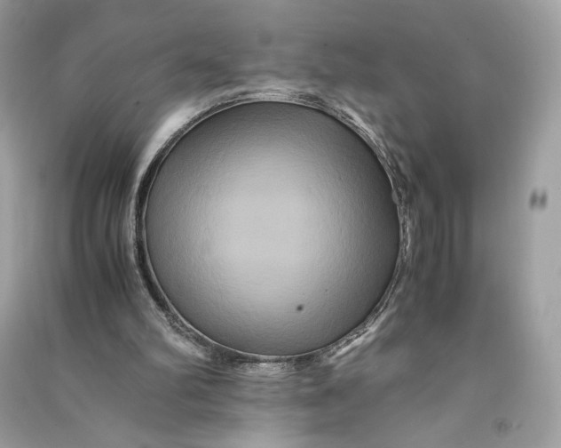 X0000090760102200708101756