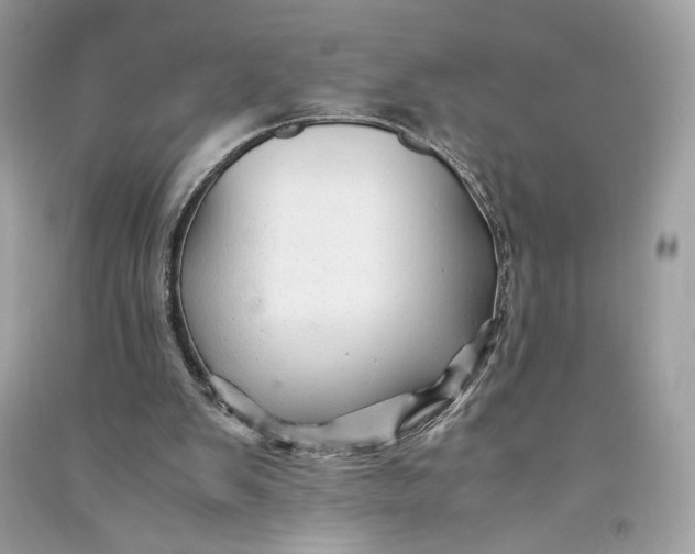 X0000090760103200708101756