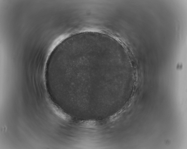 X0000090760104200708101756